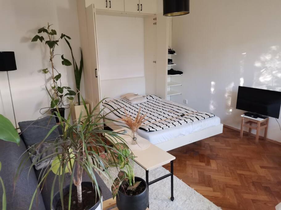 Cozy Studio In The City Centre Near Train Station Братислава Экстерьер фото